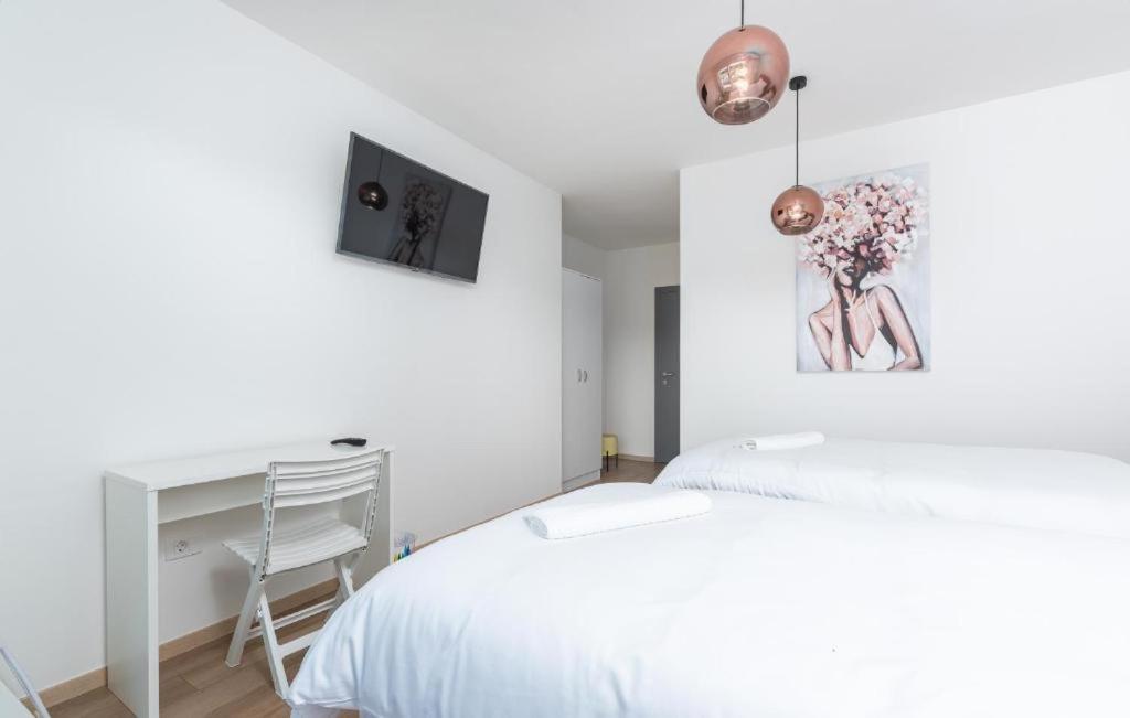 Villa Casa Storija Novigrad Istria Eksteriør billede